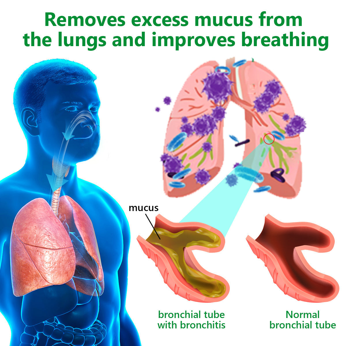 Official Store:Lercea™ 👑Mullein Clear Lung Repair Cream - endorsed by the British Thoracic Society to support lung health🎉🎉